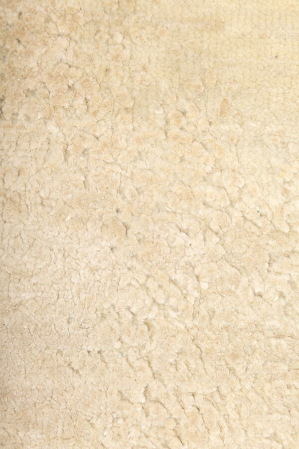 Oasis - Image 3