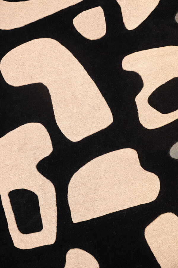 Shadowplay - Image 3