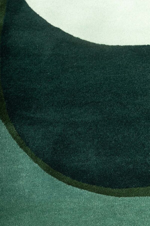 Canopy - Image 3