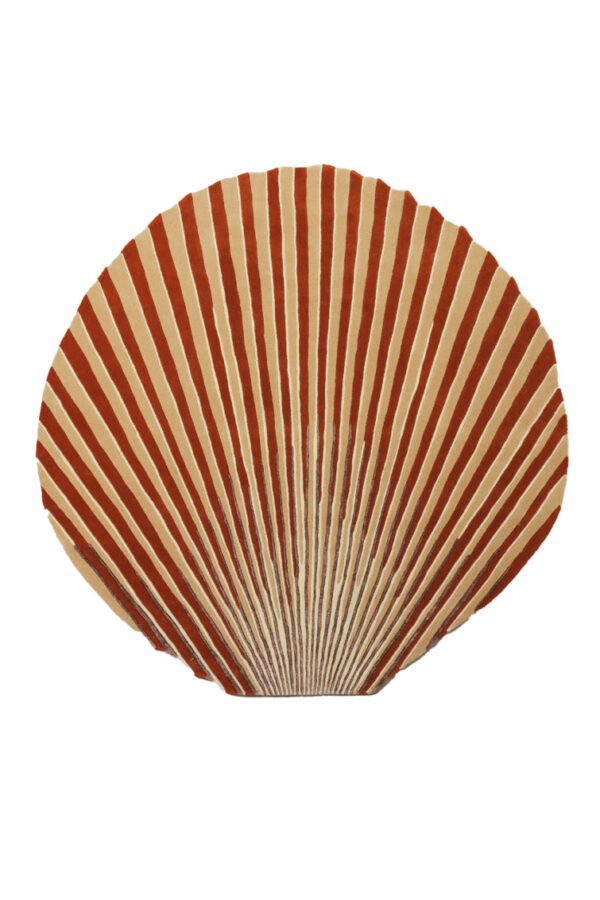 Scallop